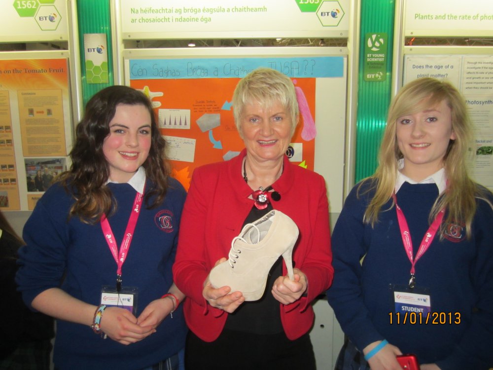 'The effects of different types of footwear on the gait of young people’ was the subject of an entry by pupils of Gaelcholáiste an Chláir at the BT Young Scientist & Technology exhibition at the RDS Dublin. They explained their findings to visitor Marian Harkin MEP, a former science teacher, who congratulated Aine Mhaoir (left) and Dearbhala Nic Uallachain on what she described as "a very practical piece of work".